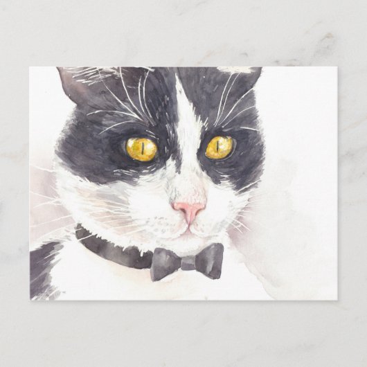 Tuxedo-Katze Postkarte (Vorderseite)