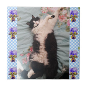 Tuxedo Katze Schlafen Funny Cats Happy Dance Tile  Fliese