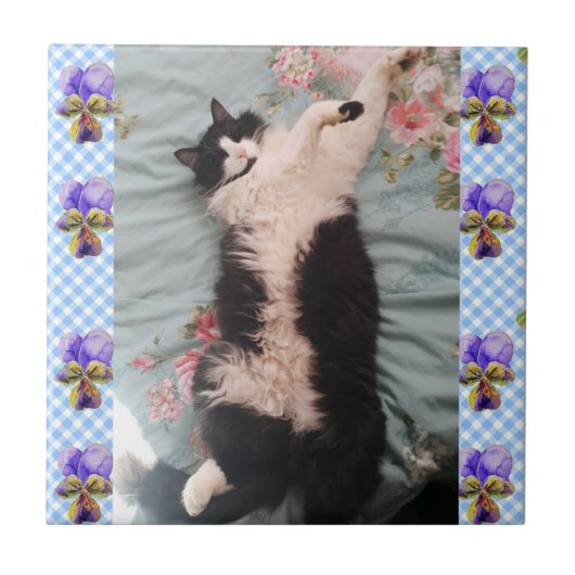 Tuxedo Katze Schlafen Funny Cats Happy Dance Tile Fliese (Vorderseite)