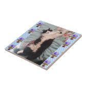 Tuxedo Katze Schlafen Funny Cats Happy Dance Tile Fliese (Seite)