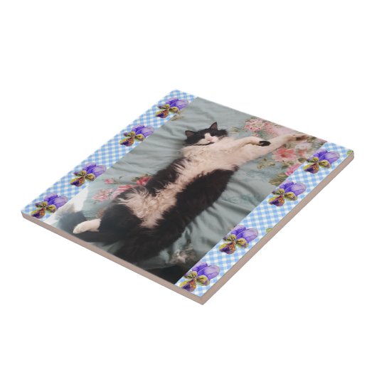 Tuxedo Katze Schlafen Funny Cats violette Keramik Fliese (Seite)