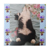 Tuxedo Katze Schlafen Funny Cats violette Keramik Fliese (Vorderseite)