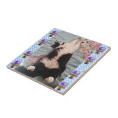 Tuxedo Katze Schlafen Funny Cats violette Keramik  Fliese (Seite)