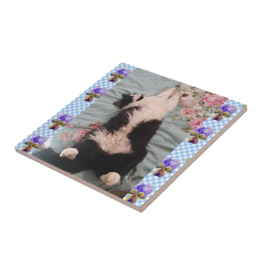 Tuxedo Katze Schlafen Funny Cats violette Keramik Fliese (Seite)