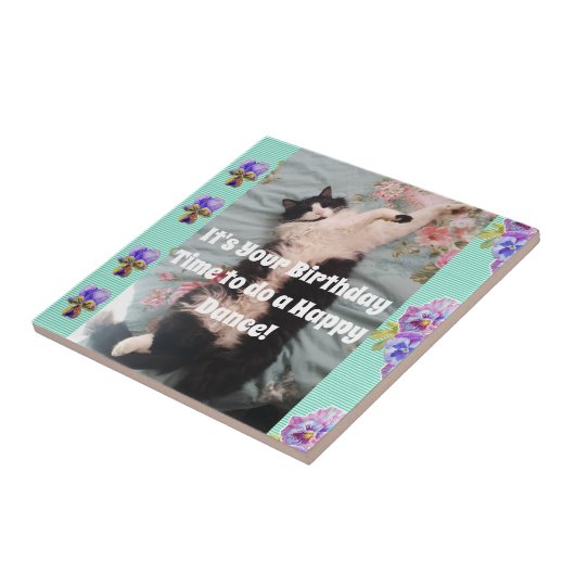 Tuxedo Katze Schlafen Funny Funny Cats Fest Tanz T Fliese (Seite)