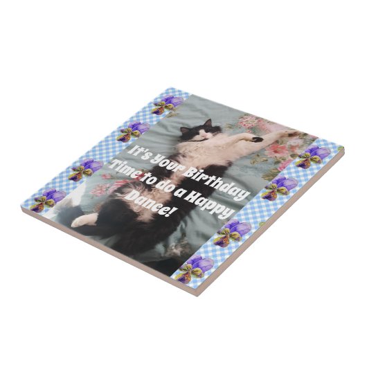 Tuxedo Katze Schlafen Funny Funny Cats Fest Tanz T Fliese (Seite)