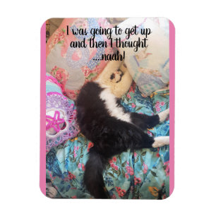 Tuxedo Katze Schlafen Funny Sprichwort Katzen Magn Magnet