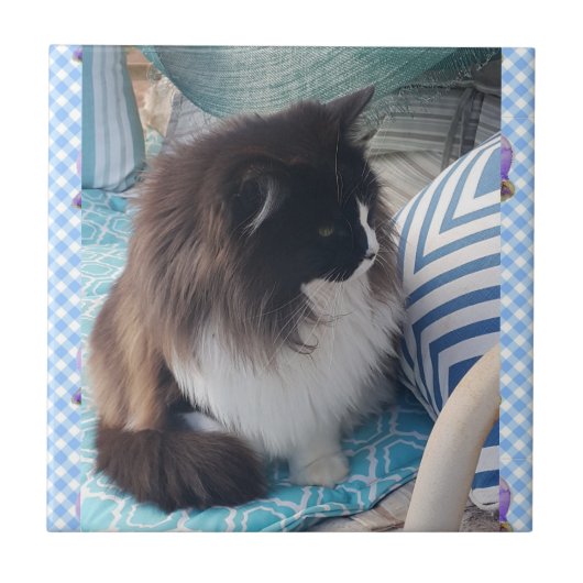 Tuxedo Katze Schwarz-weiße Furry Cats Keramik Tile Fliese (Vorderseite)