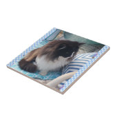 Tuxedo Katze Schwarz-weiße Furry Cats Keramik Tile Fliese (Seite)