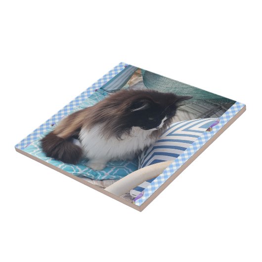 Tuxedo Katze Schwarz-weiße Furry Cats Keramik Tile Fliese (Seite)