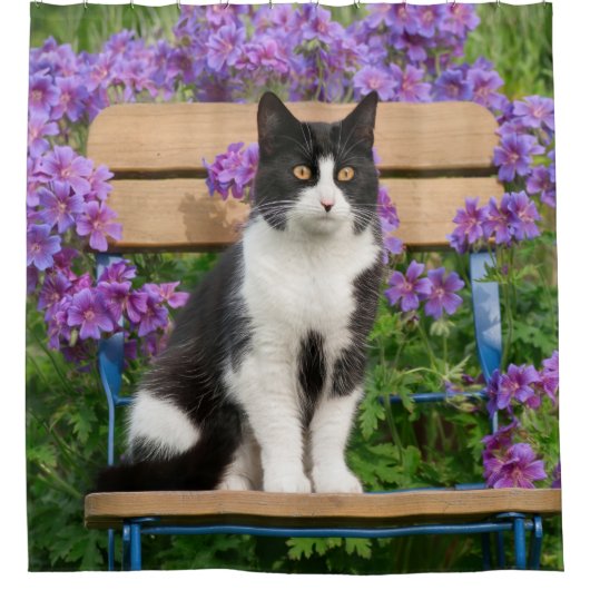 Tuxedo Katze sitzt auf einem Gartenstuhl mit Blume Duschvorhang (Vorderseite)