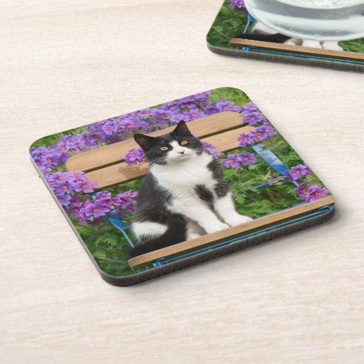 Tuxedo Katze sitzt auf einem Gartenstuhl mit Blume Getränkeuntersetzer (Linke Seite)