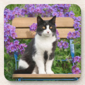 Tuxedo Katze sitzt auf einem Gartenstuhl mit Blume Getränkeuntersetzer (Vorderseite)