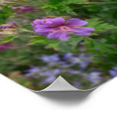 Tuxedo Katze sitzt auf einem Gartenstuhl mit Blume Poster (Ecke)