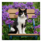 Tuxedo Katze sitzt auf einem Gartenstuhl mit Blume Poster (Vorderseite)