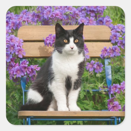 Tuxedo Katze sitzt auf einem Gartenstuhl mit Blume Quadratischer Aufkleber (Vorderseite)