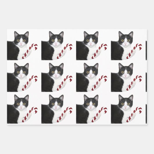 Tuxedo Katze Weihnachten Geschenkpapier Set (Vorderseite 3)