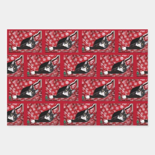 Tuxedo Katze Weihnachten Geschenkpapier Set (Vorderseite 2)