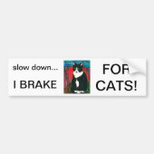 Tuxedo-Katzen-beflecktes Glas-Entwurfs-Kunst-T - Autoaufkleber (Vorne)