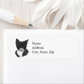 Tuxedo Kitten (Insitu)