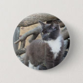 Tuxedo Kitten Button (Vorderseite)