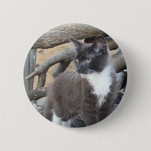 Tuxedo Kitten Button (Vorderseite)