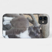 Tuxedo Kitten Case-Mate iPhone Hülle (Rückseite (Horizontal))