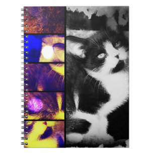 Tuxedo Kitten Foto Art Notebook Notizblock