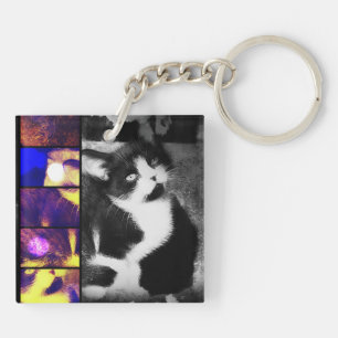 Tuxedo Kitten Foto Art Schlüsselanhänger
