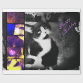 Tuxedo Kitten Foto Art Wrapping Paper *Geburtstag* Geschenkpapier (Flach)