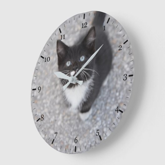 Tuxedo Kitten Große Wanduhr (Winkel)