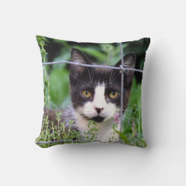 Tuxedo Kitten im Garten Kissen