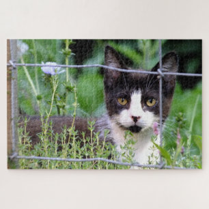 Tuxedo Kitten im Gartenpuzzle Puzzle