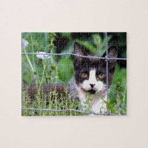 Tuxedo Kitten im Gartenpuzzle Puzzle