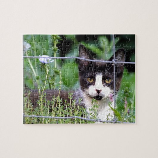 Tuxedo Kitten im Gartenpuzzle Puzzle (Horizontal)