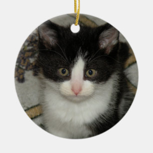 Tuxedo Kitten Keramik Ornament