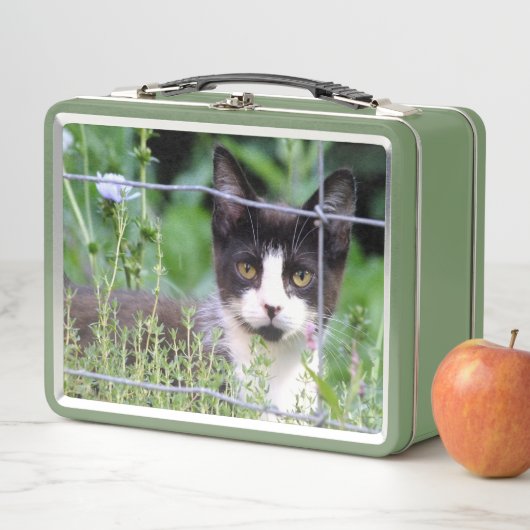 Tuxedo Kitten Lunchbox (Beispiel)