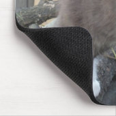 Tuxedo Kitten Mousepad (Ecke)