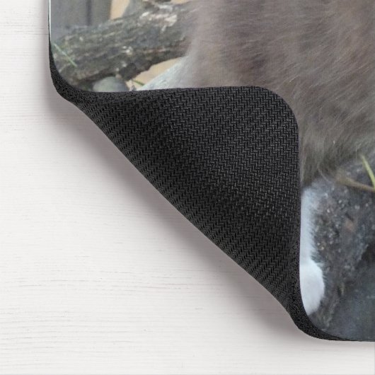 Tuxedo Kitten Mousepad (Ecke)