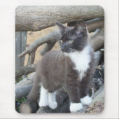 Tuxedo Kitten Mousepad (Vorne)