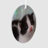 Tuxedo Kitten Ornament (Vorderseite)