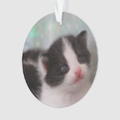 Tuxedo Kitten Ornament (Vorderseite)
