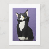 Tuxedo Kitten Postcard Postkarte (Vorderseite)