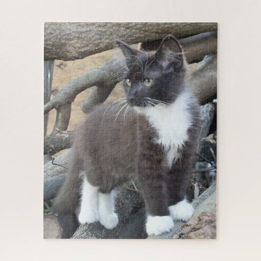 Tuxedo Kitten Puzzle (Vertikal)