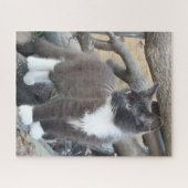 Tuxedo Kitten Puzzle (Horizontal)