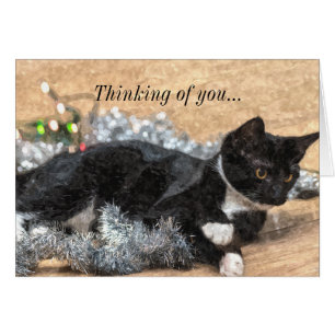 Tuxedo Kitten Tinsel und Lichter denken Sie an Sie