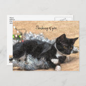 Tuxedo Kitten Tinsel und Lichter denken Sie an Sie Postkarte (Vorne/Hinten)