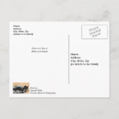 Tuxedo Kitten Tinsel und Lichter denken Sie an Sie Postkarte (Rückseite)