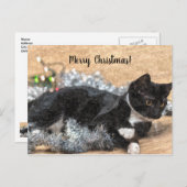 Tuxedo Kitten Tinsel und Lights Christmas Postard Postkarte (Vorne/Hinten)