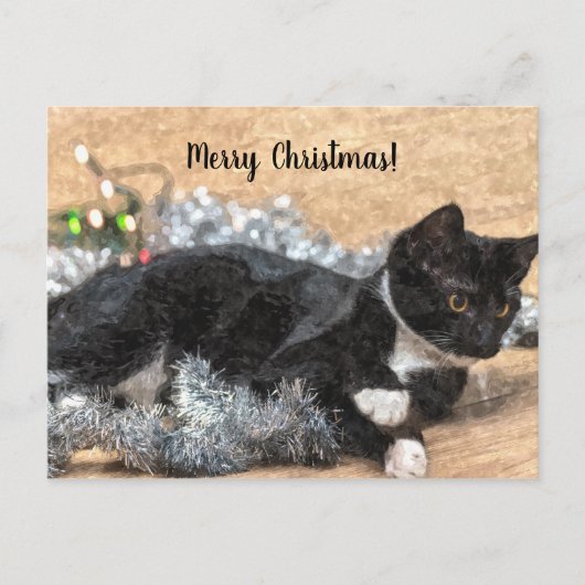 Tuxedo Kitten Tinsel und Lights Christmas Postard Postkarte (Vorderseite)